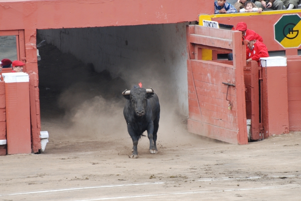 03292_Lima,_corrida_a_Acho_DSA_0223.JPG