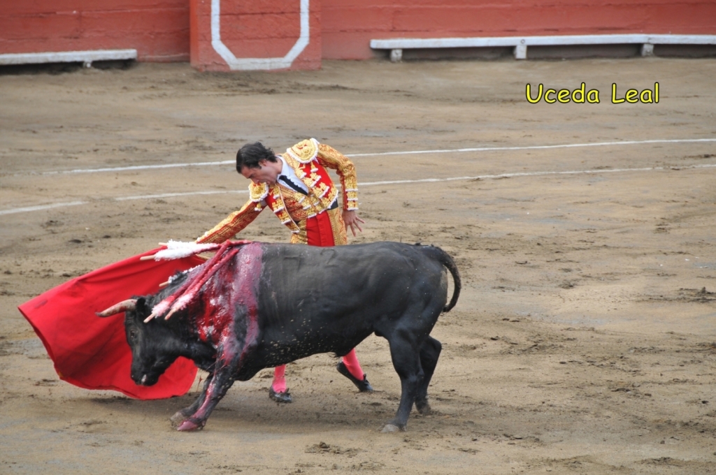 03300_Uceda_Leal_DSE_2450.JPG