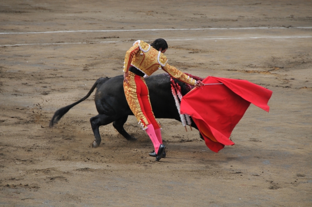 03310_Uceda_Leal_DSE_2454.JPG