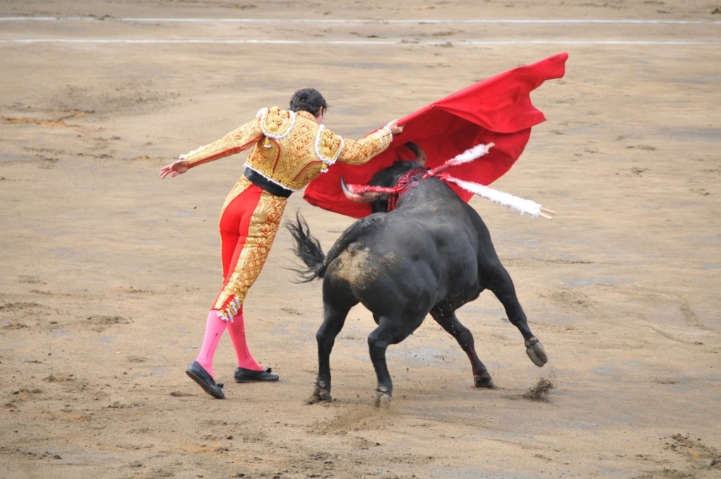03330_Uceda_Leal_DSE_2457.JPG