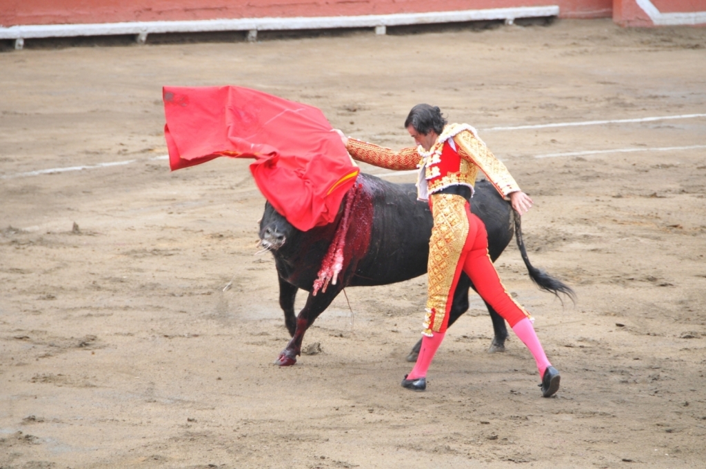 03350_Uceda_Leal_DSE_2460.JPG