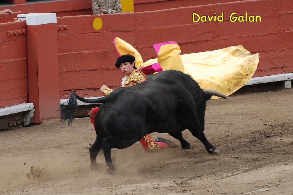 03485_David_Galan_DSA_0234.JPG