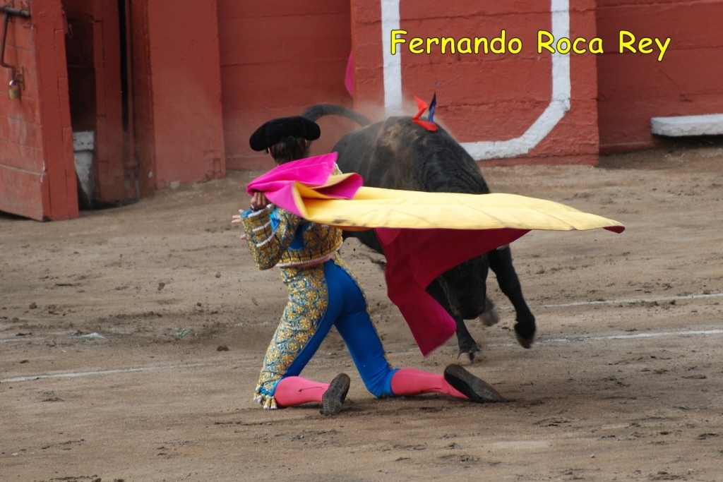 03600_Fernando_Roca_Rey_DSA_0244.JPG