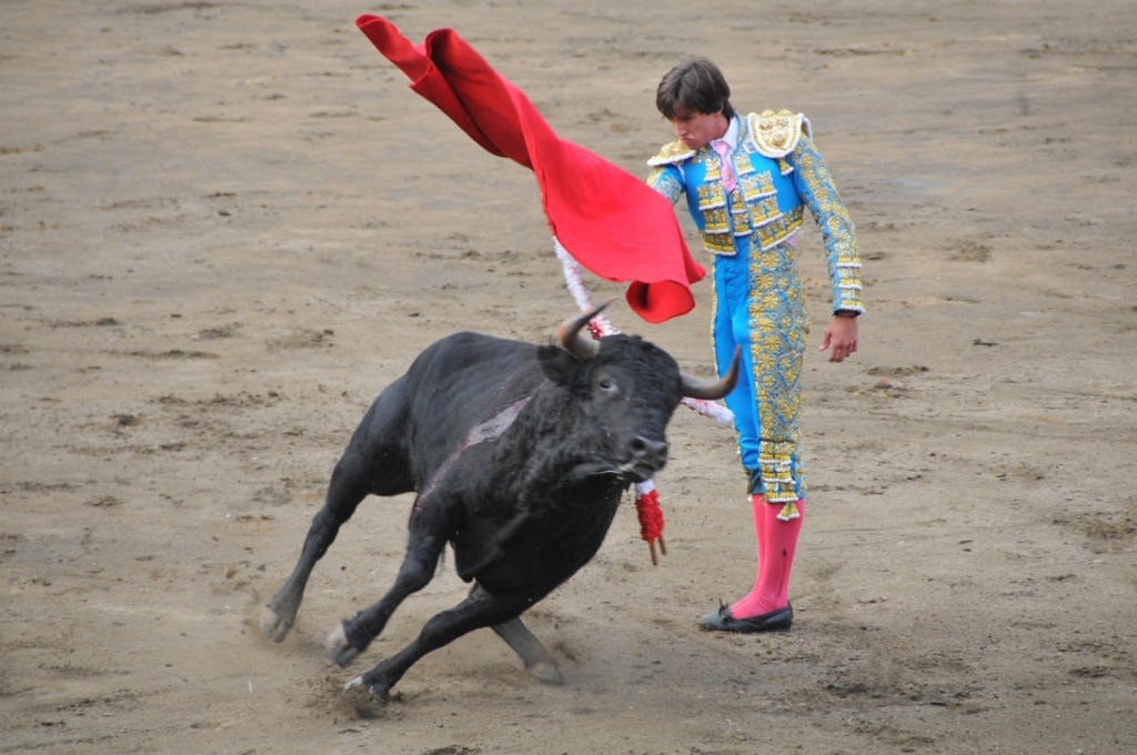 03700_Fernando_Roca_Rey_DSE_2501.JPG