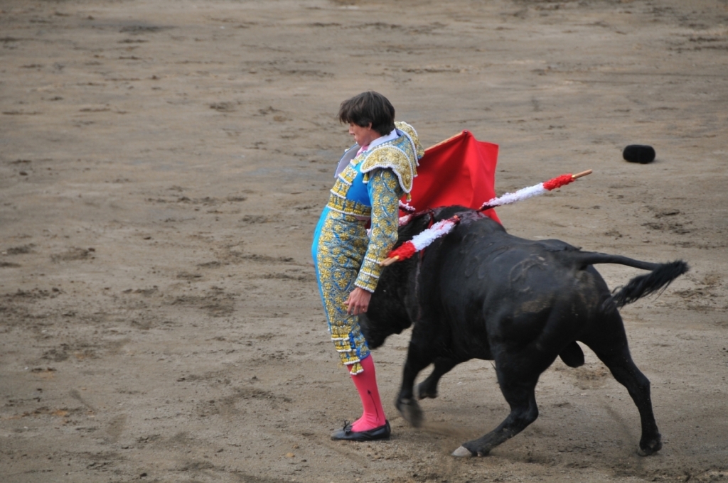 03710_Fernando_Roca_Rey_DSE_2502.JPG