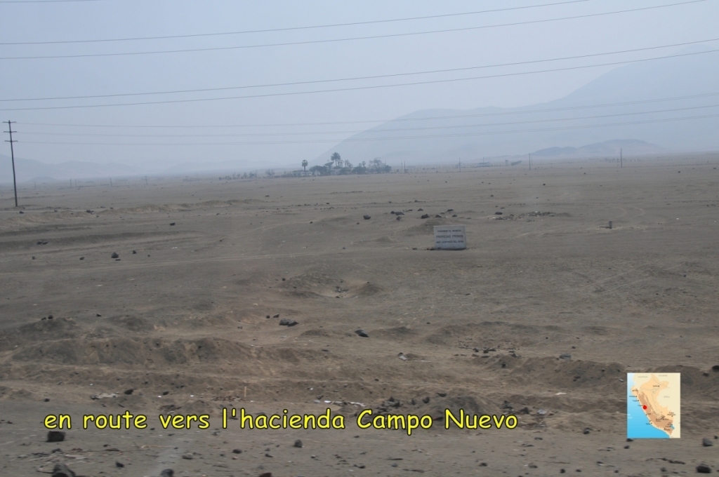 04070_hacienda_Campo_Nuevo_DSE_2557.JPG