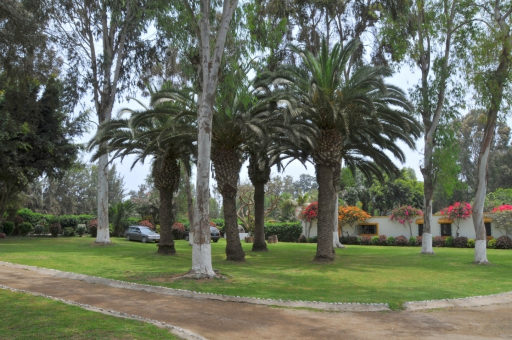 04270_hacienda_Campo_Nuevo_DSE_2584.JPG