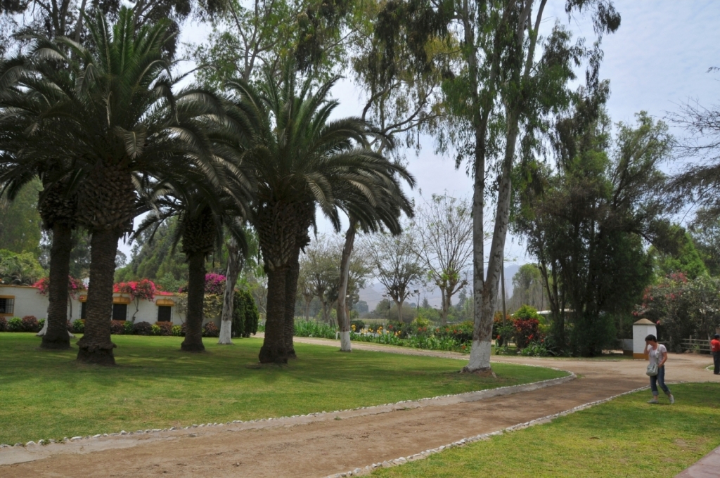 04300_hacienda_Campo_Nuevo_DSE_2589.JPG