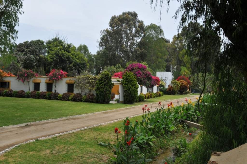 04390_hacienda_Campo_Nuevo_DSE_2599.JPG