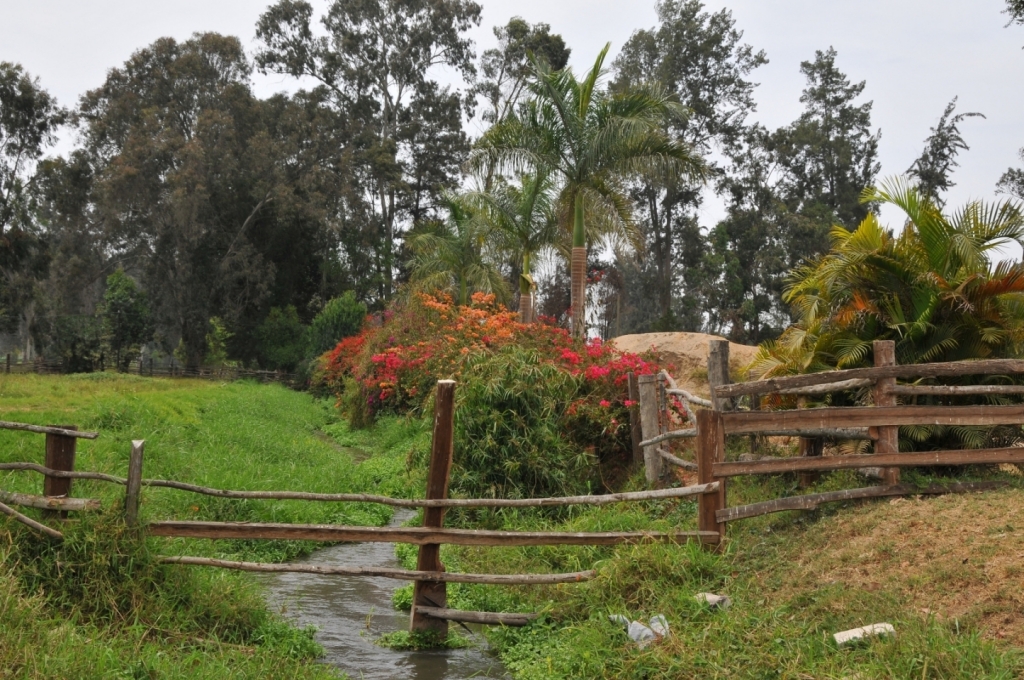 04460_hacienda_Campo_Nuevo_DSE_2610.JPG