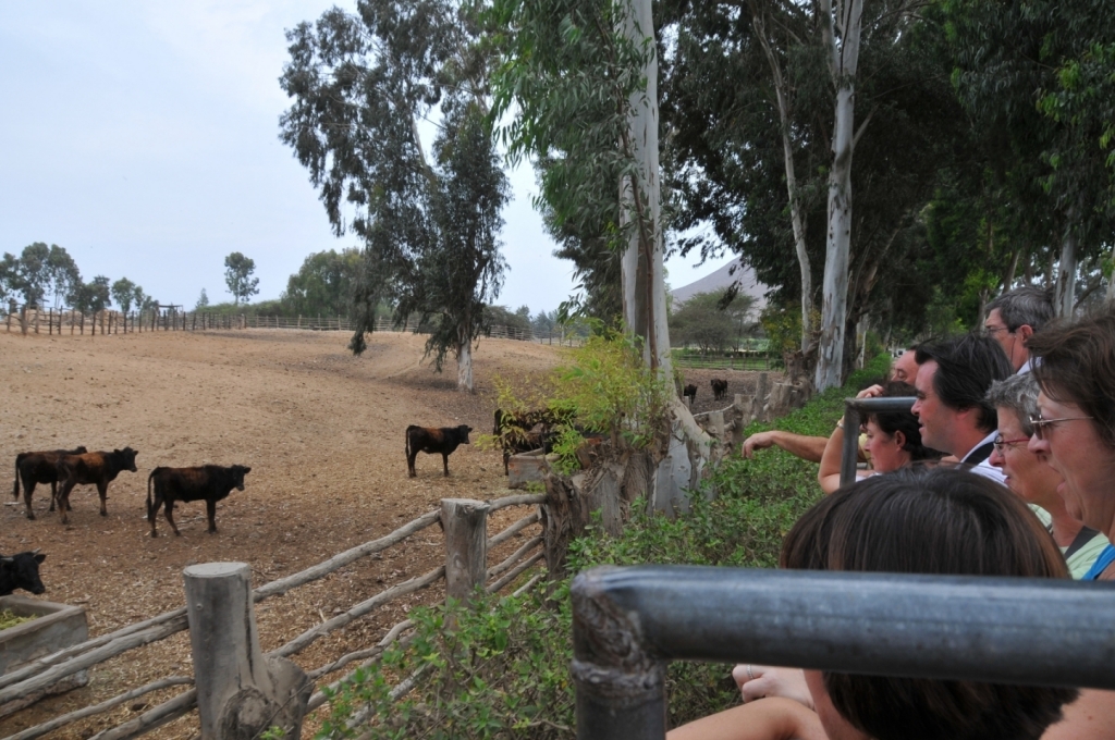 04510_hacienda_Campo_Nuevo_DSE_2618.JPG