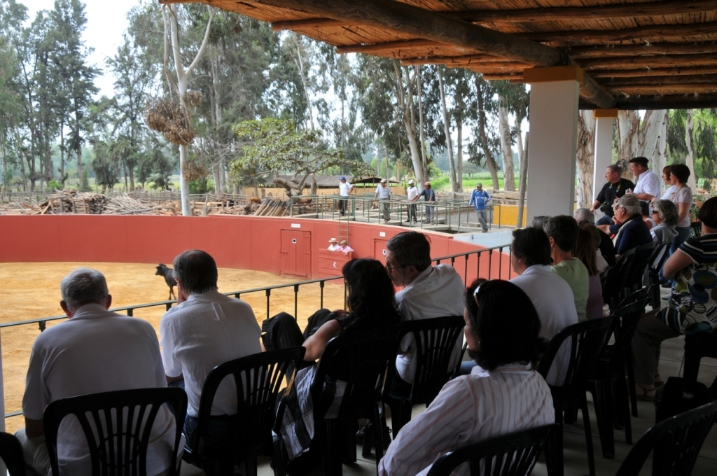 04580_hacienda_Campo_Nuevo_DSE_2634.JPG