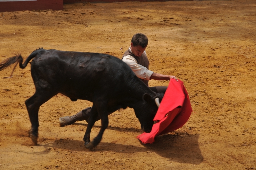 04610_hacienda_Campo_Nuevo_DSE_2639.JPG