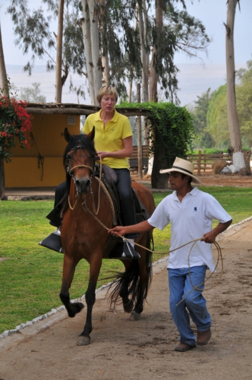 04800_hacienda_Campo_Nuevo_DSE_2665.JPG