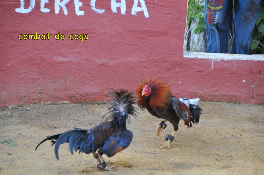 04850_hacienda_Campo_Nuevo_DSE_2681.JPG