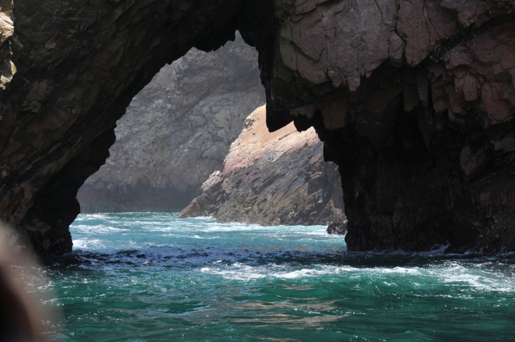05410_reserve_de_Paracas_DSE_2778.JPG