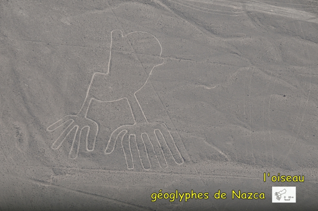 06300_lignes_de_Nazca_DSE_2897.JPG