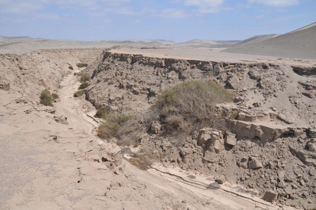 06380_faille_de_Nazca_DSE_2906.JPG