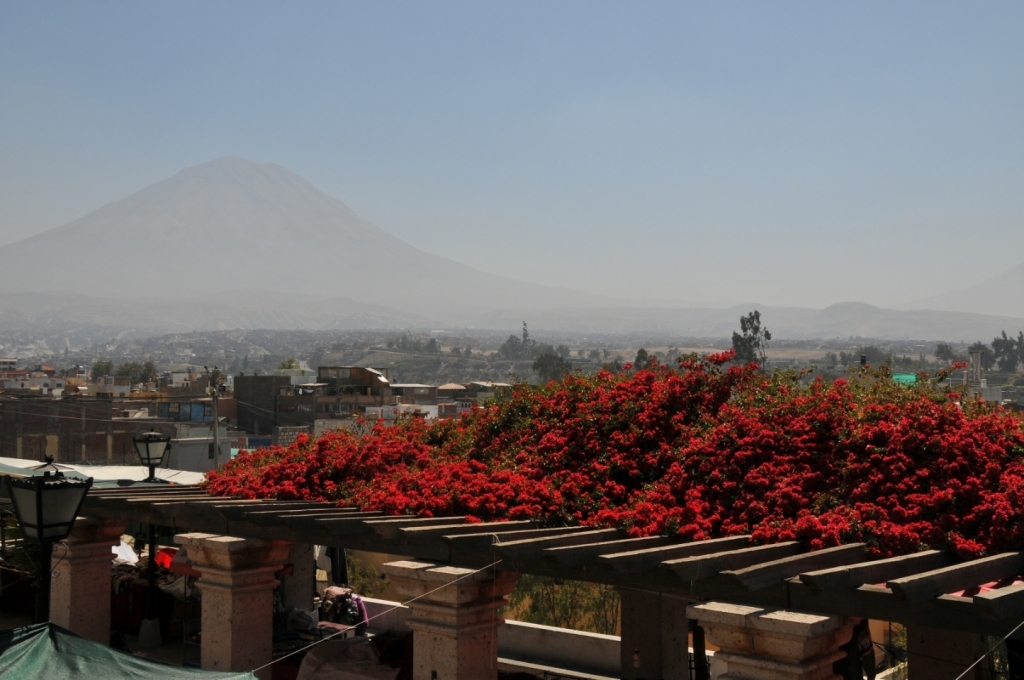 07040_Arequipa_DSE_2988.JPG