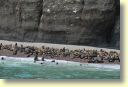 05310_reserve_de_Paracas_DSE_2764.JPG