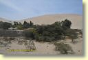 05460_oasis_de_Huacachina_DSE_2786.JPG