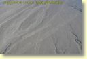 05860_lignes_de_Nazca_DSE_2839.JPG