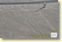 06290_lignes_de_Nazca_DSE_2896.JPG