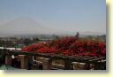 07040_Arequipa_DSE_2988.JPG