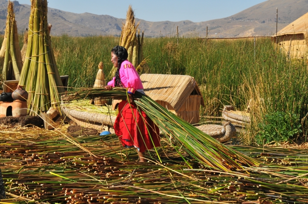 09130_lac_Titicaca,_iles_flottantes_DSE_3267.JPG