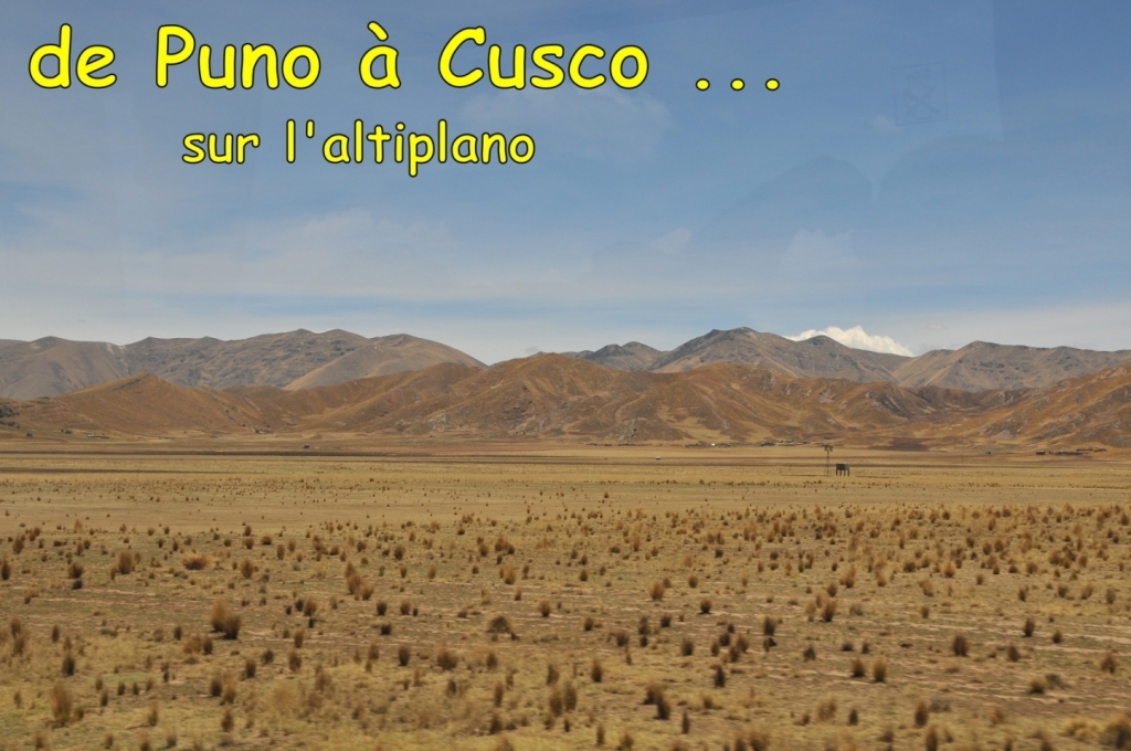 09570_de_Puno_a_Cusco_DSE_3335.JPG