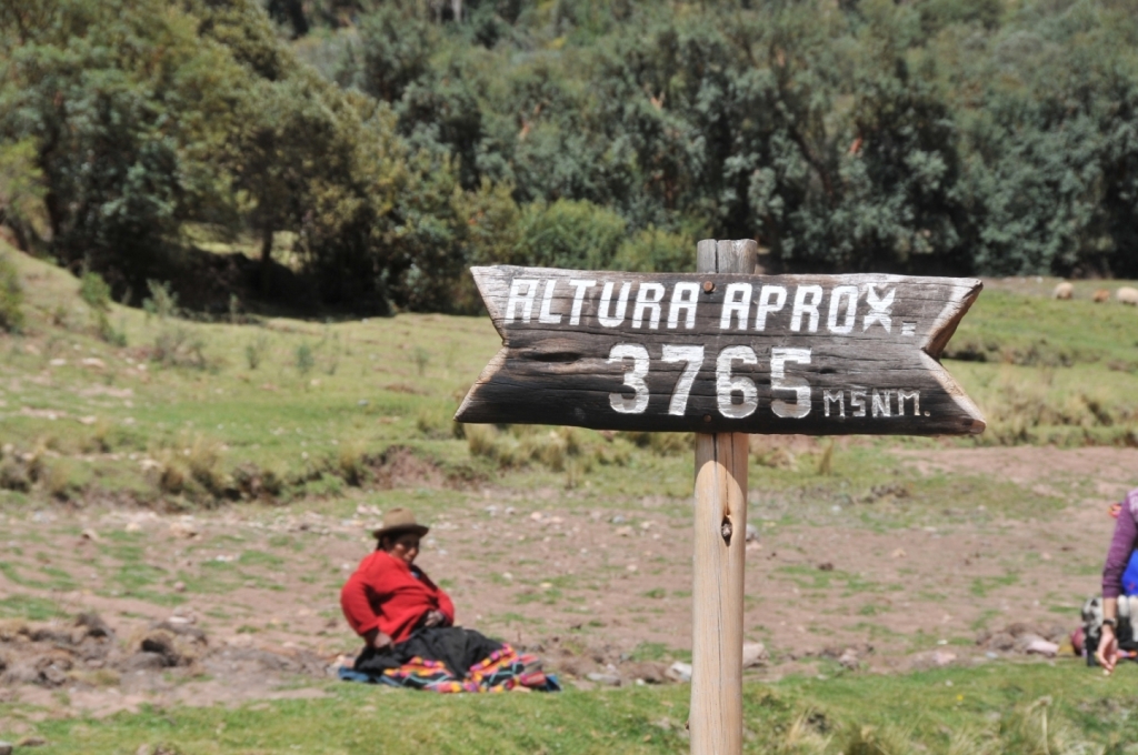 11060_Saqsaywaman_DSE_3509.JPG