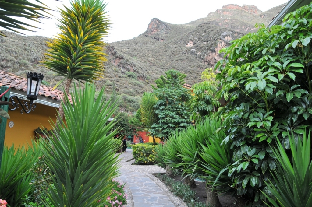 11990_Pisac,_hotel_Royal_Inca_DSE_3614.JPG