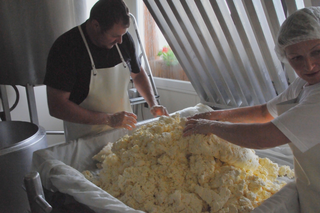 0150_visite_fromagerie_du_Salers_DSE_5609.JPG
