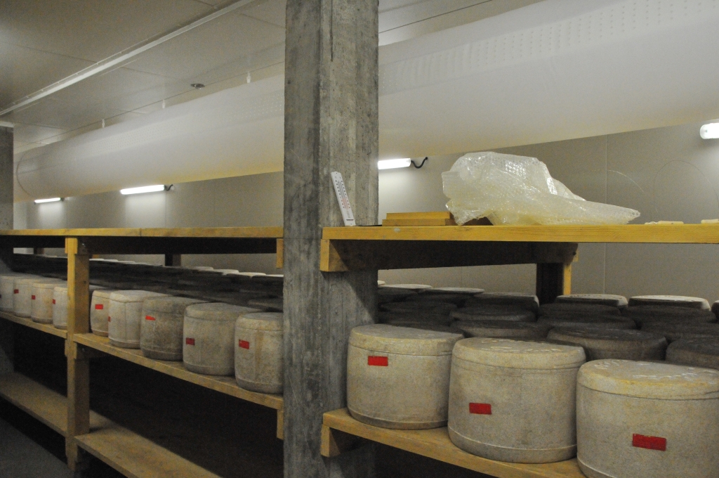 0210_visite_fromagerie_du_Salers_DSE_5619.JPG
