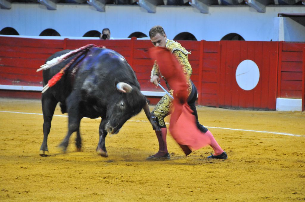 0280_Marco_Leal_DSE_6616.JPG