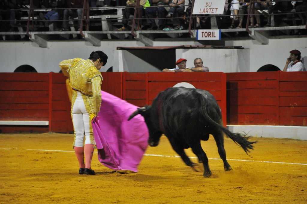 0340_Juan_Luis_Rodriguez_DSE_6631.JPG