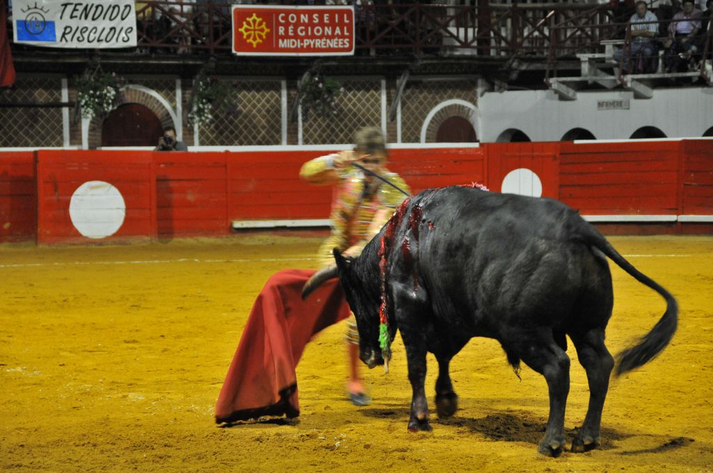 0480_Juan_Luis_Rodriguez_DSE_6666.JPG