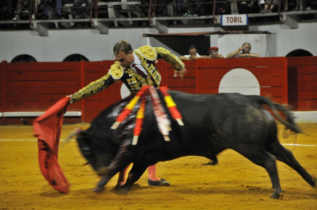 0880_Marco_Leal_DSE_6746.JPG