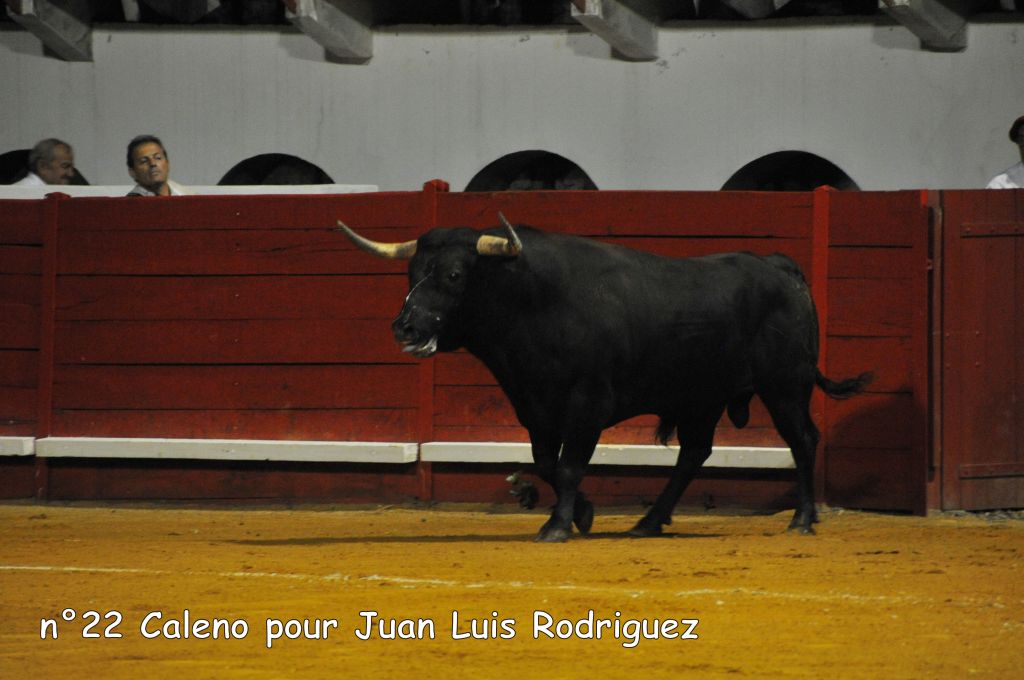 0930_Juan_Luis_Rodriguez_DSE_6754.JPG