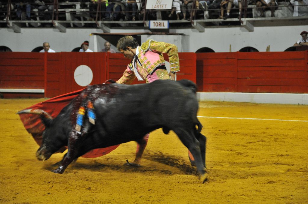 1020_Juan_Luis_Rodriguez_DSE_6782.JPG