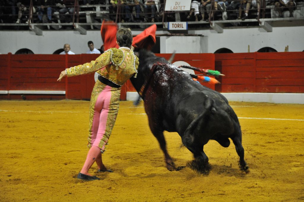 1030_Juan_Luis_Rodriguez_DSE_6783.JPG
