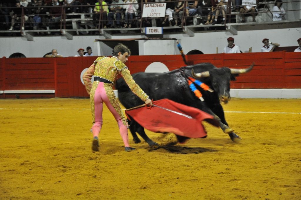 1050_Juan_Luis_Rodriguez_DSE_6788.JPG
