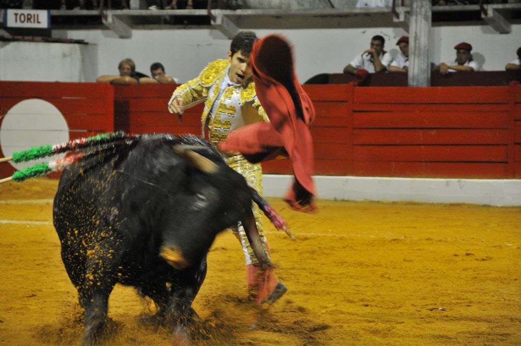 1190_Sergio_Blanco_DSE_6828.JPG
