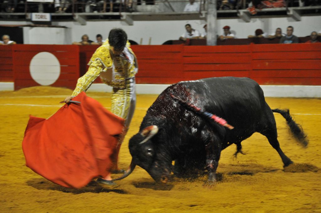 1210_Sergio_Blanco_DSE_6837.JPG